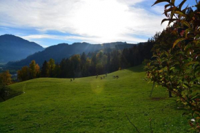 Niederstallnhof Sankt Johann Im Pongau